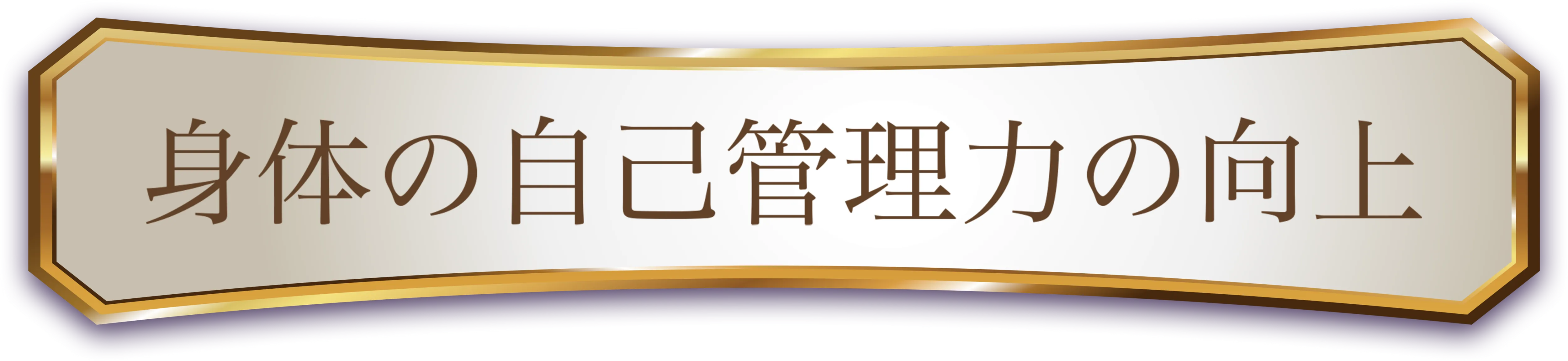 身体の自己管理力の向上